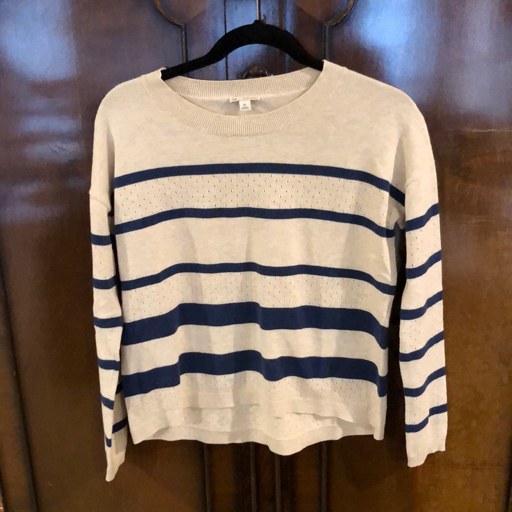 Gap Blue & Cream Sweater